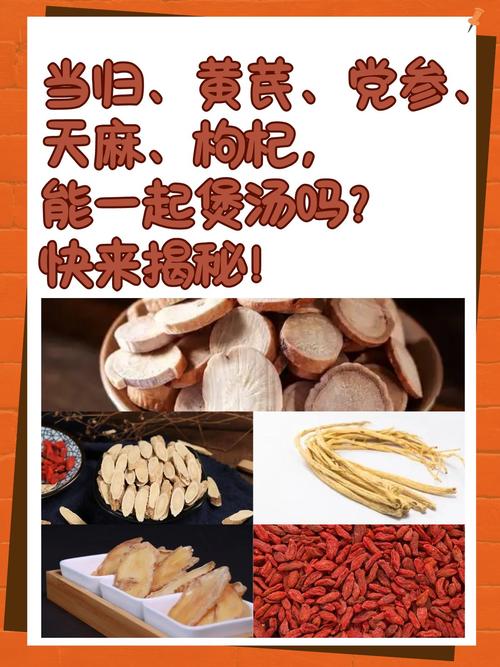 中医草药手抄报_中医草药书籍_中医草药