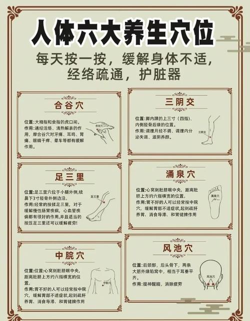 养生按摩通经络手法培训_养生按摩视频播放大全_养生按摩