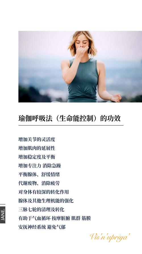 养生瑜伽课程_养生瑜伽课程介绍_养生瑜伽课程市场分析