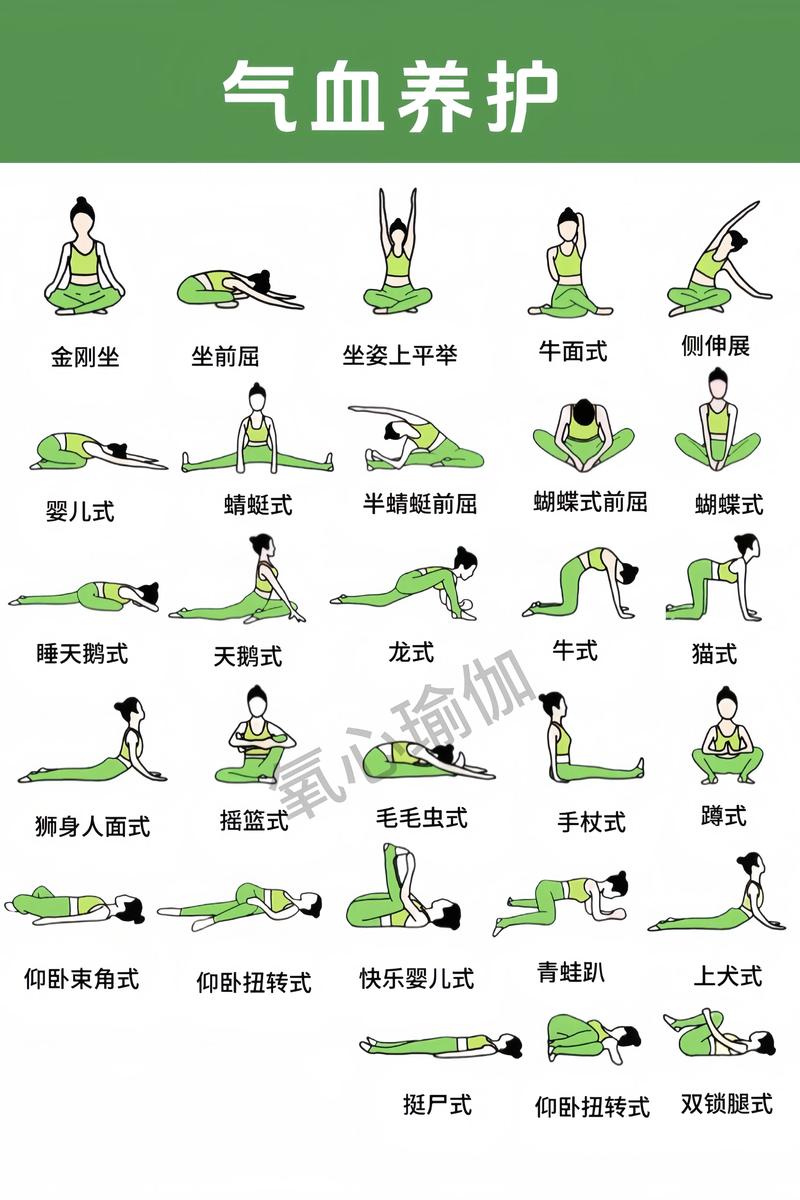 养生瑜伽课程市场分析_养生瑜伽课程介绍_养生瑜伽课程