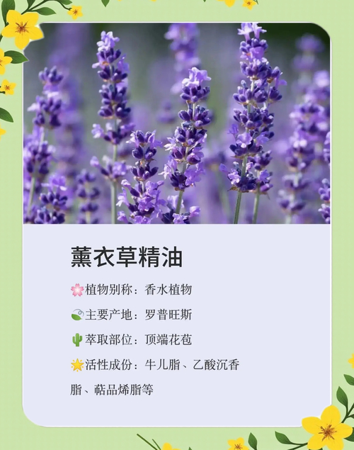 香薰养生馆_养生香薰_香薰养生的功效与作用