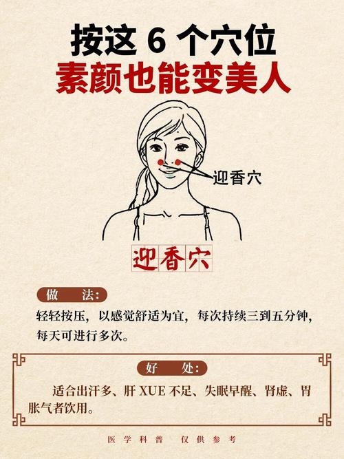 养生经络按摩学校_养生经络按摩_养生经络按摩机器
