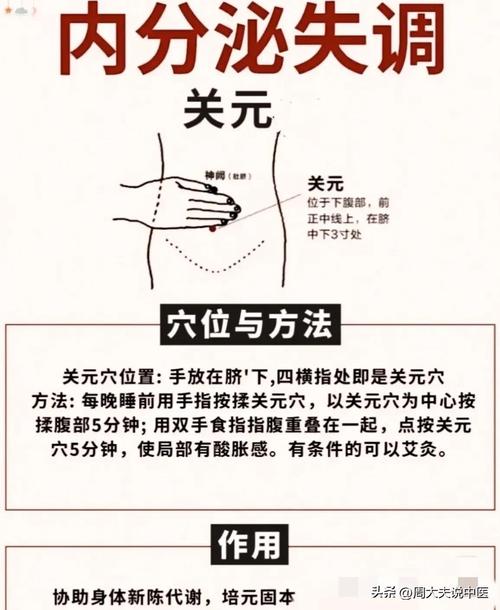 养生经络按摩学校_养生经络按摩机器_养生经络按摩